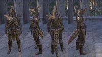 ON-item-armor-Ancestral Orc Heavy.jpg