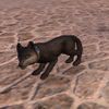 ON-pet-Elder Dragon Hunter Wolf Pup.jpg