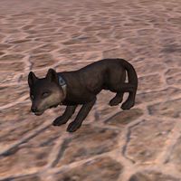ON-pet-Elder Dragon Hunter Wolf Pup.jpg