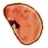 OB-icon-ingredient-Cinnabar Polypore Red Cap.png