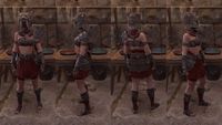ON-item-armor-Paravant's Letale (female).jpg