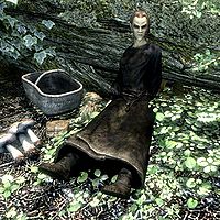 Skyrim Alchemist The Unofficial Elder Scrolls Pages Uesp