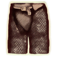 OBR-icon-armor-ChainGreaves(m).png