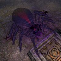 ON-creature-Gloam Spider.jpg