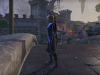 Online:Faraniel - The Unofficial Elder Scrolls Pages (UESP)