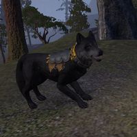ON-pet-Ancient Dragon Hunter Wolf.jpg
