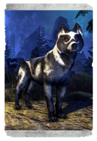 ON-card-Shadowghost Pack Wolf.png
