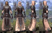 ON-item-armor-Spidersilk-Robe-Altmer-Male.jpg