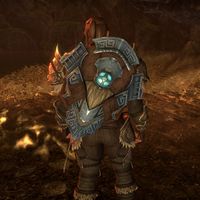 ON-item-armor-Wayward Guardian Shield.jpg