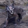 ON-pet-Twilight Striped Lynx.jpg
