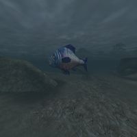 TD3-creature-Fish.jpg