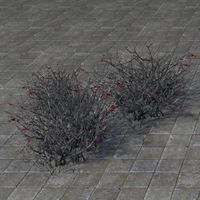 ON-furnishing-Bushes, Withered Cluster.jpg
