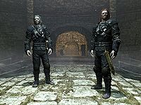 Maven Black-Briar Replacer CBBE_CBBE 3BA_BHUNP or Default body ESP-FE at  Skyrim Special Edition Nexus - Mods and Community