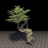 ON-furnishing-Tree, Twisted Dawnwood.jpg