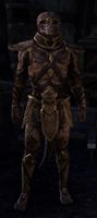 ON-item-Phaer Mercenary Disguise.jpg
