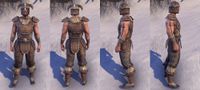ON-item-armor-Nord Medium 1 Male.jpg
