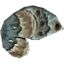 SR-icon-ingredient-Ancestor Moth Wing.png