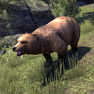 Lore:Bear - The Unofficial Elder Scrolls Pages (UESP)