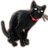 ON-icon-pet-Black Cat.png