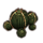 ON-icon-furnishing-Cactus, Golden Bulbs.png