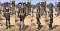 ON-item-armor-Dwarven-Nord-Female.jpg