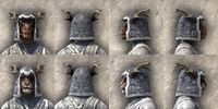 ON-item-armor-Reach Winter Medium Beast Races.jpg