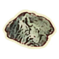 OBR-icon-misc-SI Greenspore.png