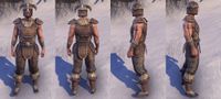 ON-item-armor-Rawhide-Nord-Male.jpg