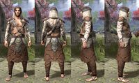ON-item-armor-Wood Elf Light Robe 1 Male.jpg