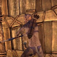 ON-item-weapon-Argonian Quiver 2.jpg