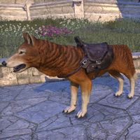 ON-mount-Oak-Ember Forge Wolf.jpg