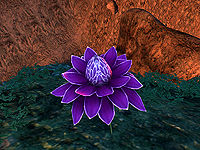 OB-flora-Mana Bloom (Ambrosia).jpg