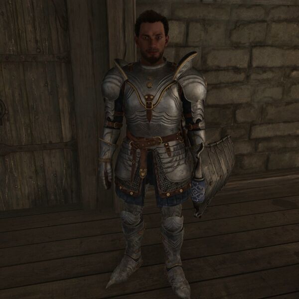 File:OBR-npc-Chorrol Fighters Guild Porter.jpg