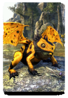 ON-card-Butterscotch Dragon Frog.png