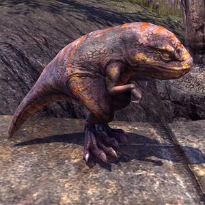 Online:Pony Guar - The Unofficial Elder Scrolls Pages (UESP)