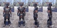 ON-item-armor-Steel-Nord-Male.jpg