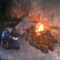 ON-memento-Campfire Kit.jpg
