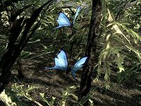 SR-ingredient-Blue Butterfly.jpg