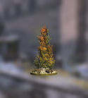 Tall Shrub