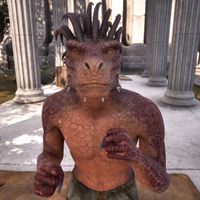 OBR-npc-Saliith 02.jpg