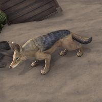 ON-creature-Jackal.jpg