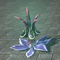 ON-furnishing-Plant, Luminous Lantern Flower.jpg