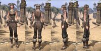 ON-item-armor-Nord Medium 1 Female.jpg