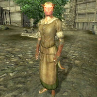 Oblivion City Swimmer The Unofficial Elder Scrolls Pages Uesp