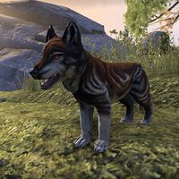 ON-creature-Dire Wolf Pup.jpg
