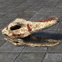 ON-furnishing-Argonian Skull, Crocodile.jpg
