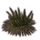 ON-icon-furnishing-Plant, Green Water.png