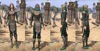 ON-item-armor-Homespun-Jerkin-Breton-Female.jpg