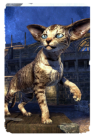 ON-card-Mage's Sentry Kitten.png