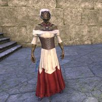 ON-costume-Tavern Maid (male).jpg
